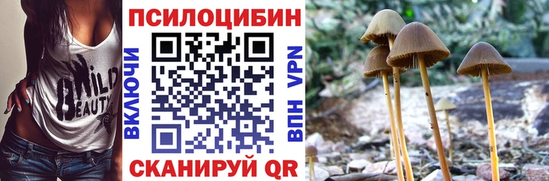 даркнет сайт  Опочка  Галлюциногенные грибы Magic Shrooms 